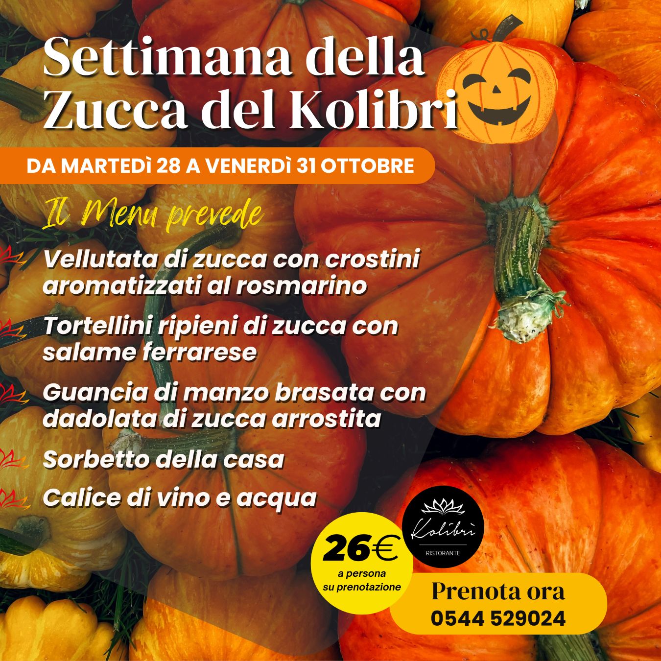 Settimana della Zucca del Kolibrì! 